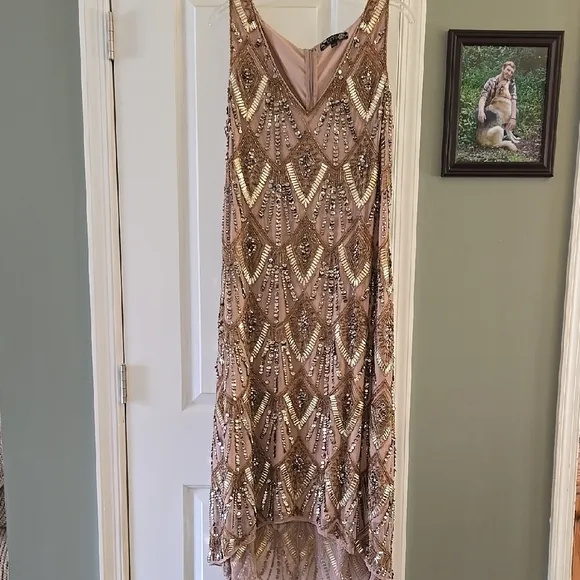 Joanna Hope Gold and Brown Embellished SequenceTiered High Low Maxi Formal Dress