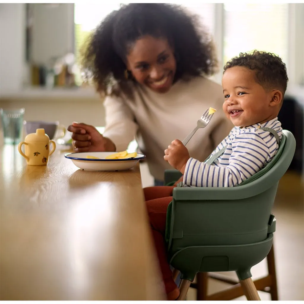 MAXI COSI Moa 4-in-1 High Chair - Beyond Graphite2 ECO